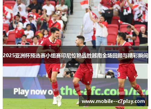 2025亚洲杯预选赛小组赛印尼惊艳战胜越南全场回顾与精彩瞬间