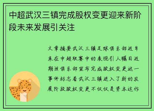 中超武汉三镇完成股权变更迎来新阶段未来发展引关注