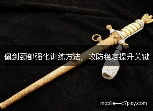 佩剑颈部强化训练方法,攻防稳定提升关键 佩剑颈部强化训练方法,攻防稳定提升关键